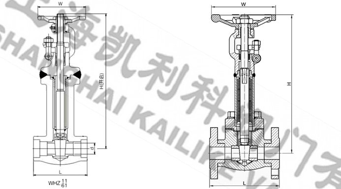 鍛鋼波紋管閘閥外形結構圖