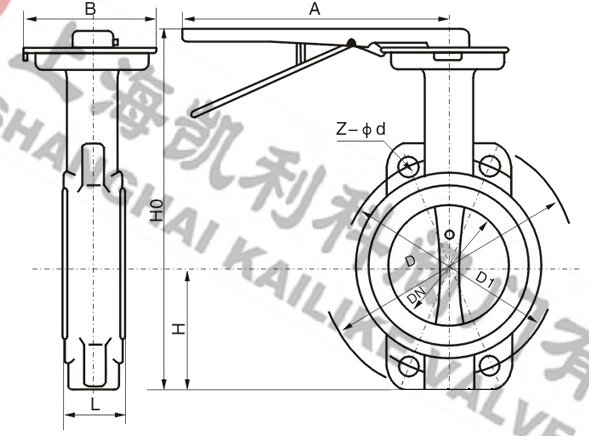 D71X不銹鋼軟密封蝶閥外形結構圖