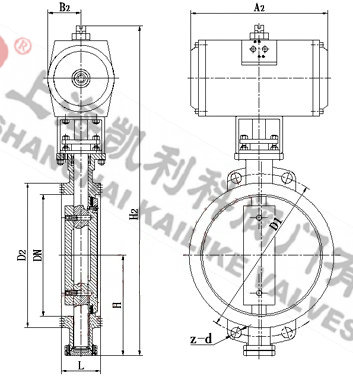 D673H氣動(dòng)硬密封蝶閥外形結(jié)構(gòu)圖