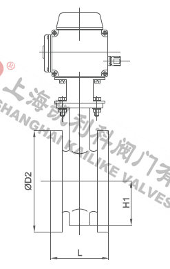 D941X不銹鋼電動(dòng)法蘭蝶閥外形結(jié)構(gòu)圖