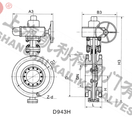 D943H電動(dòng)金屬硬密封法蘭蝶閥外形結(jié)構(gòu)圖