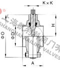 D81X衛生級卡箍式蝶閥外形結構圖