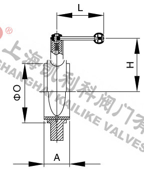 D71X衛(wèi)生級(jí)對(duì)夾蝶閥外形結(jié)構(gòu)圖