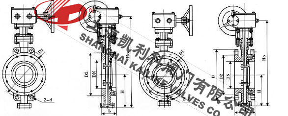 D373H日標(biāo)蝶閥外形結(jié)構(gòu)圖
