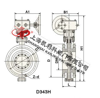 D343H三偏心法蘭蝶閥外形結(jié)構(gòu)圖