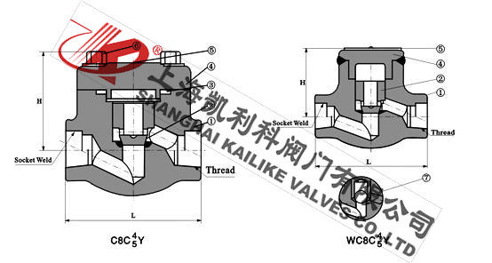 H61Y、H61H承插焊鍛鋼止回閥外形結構圖