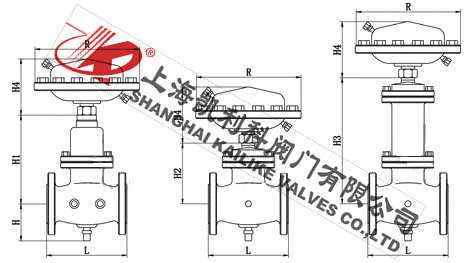 ZZLP自力式流量調節(jié)閥外形結構圖