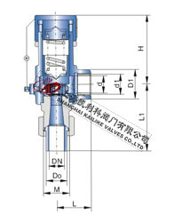 A21F、A21H、A21W、A21Y彈簧微啟式外螺紋安全閥外形結構圖