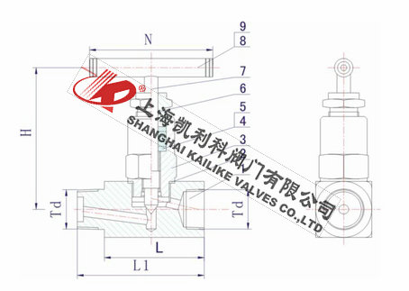 ANSI-6000PSI~10000PSI美標內外螺紋針型閥外形結構圖