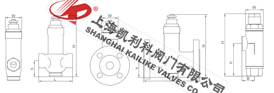 CS44H液體膨脹式波紋管疏水閥外形結構圖