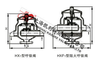 HX1帶接管呼吸閥、HXF1帶接管阻火呼吸閥外形結構圖