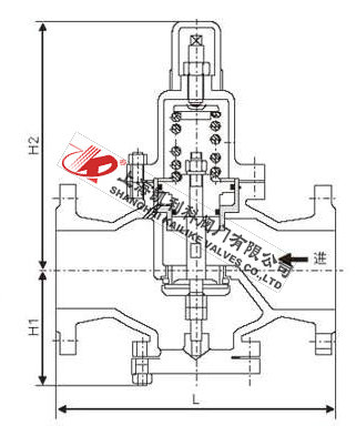 Y42X直接作用式減壓閥外形結構圖
